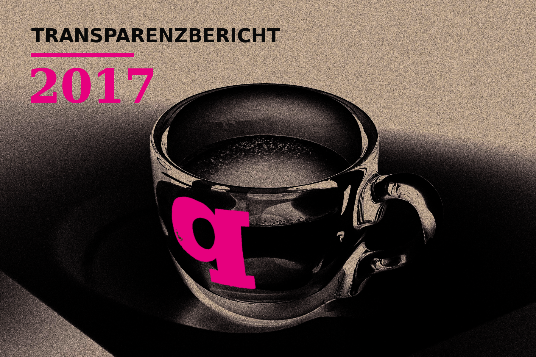Transparenzbericht 2017