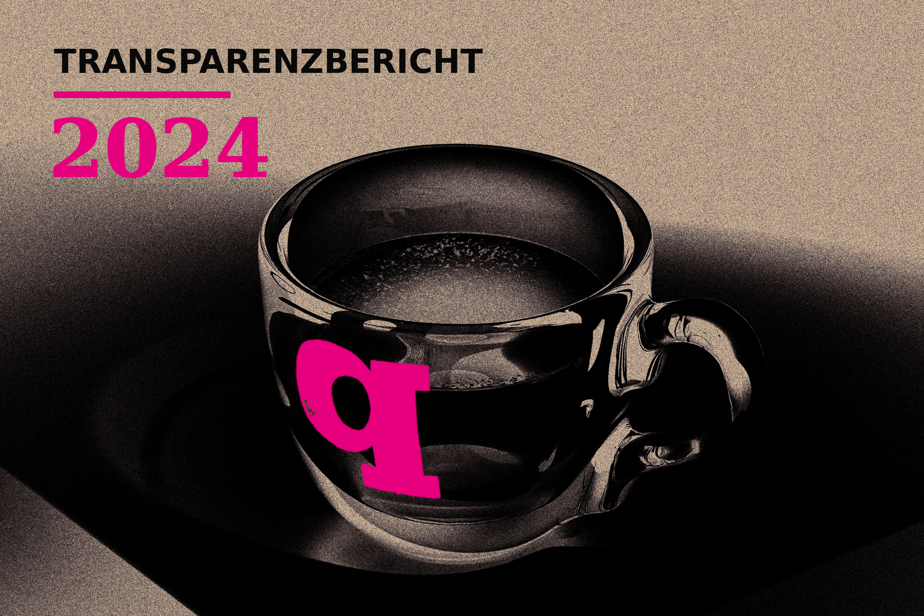 Transparenzbericht 2024
